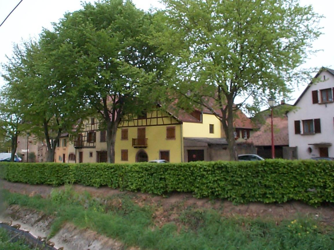 La Maison Jaune Ammerschwihr Eksteriør billede